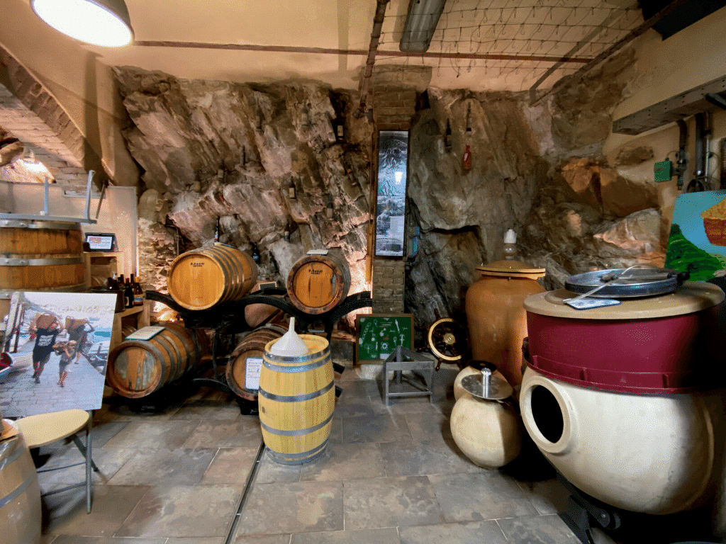 Photo of Possa's cellar at his vineyard in Cinque Terre