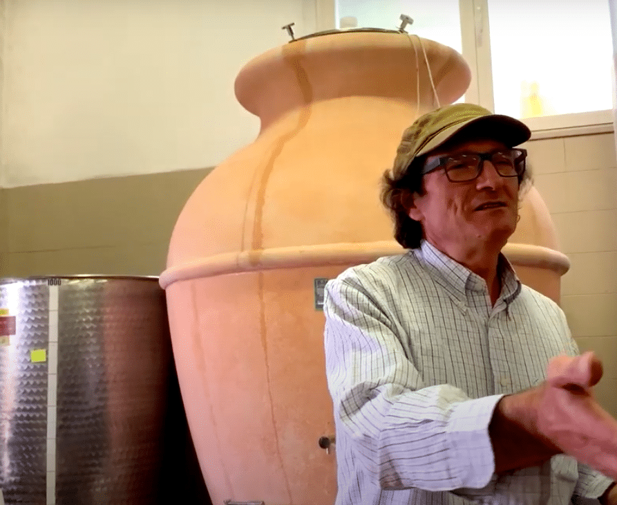 Fattoria Coroncino