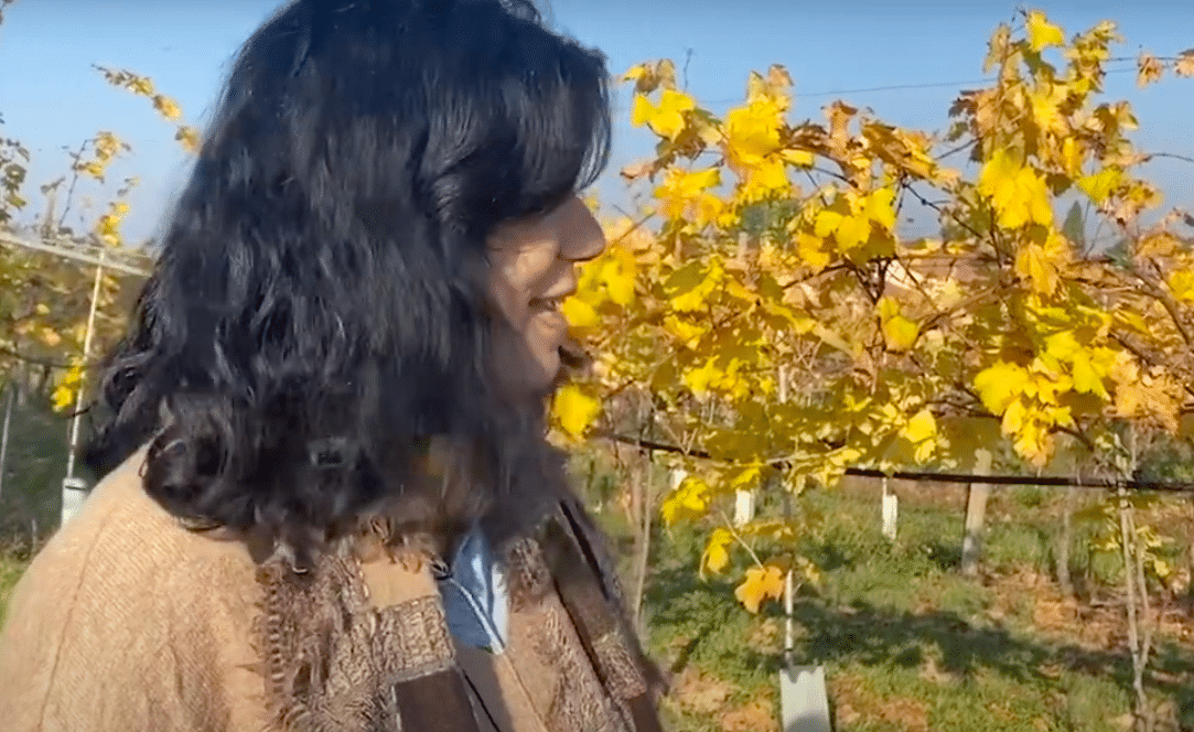 Monticino Rosso