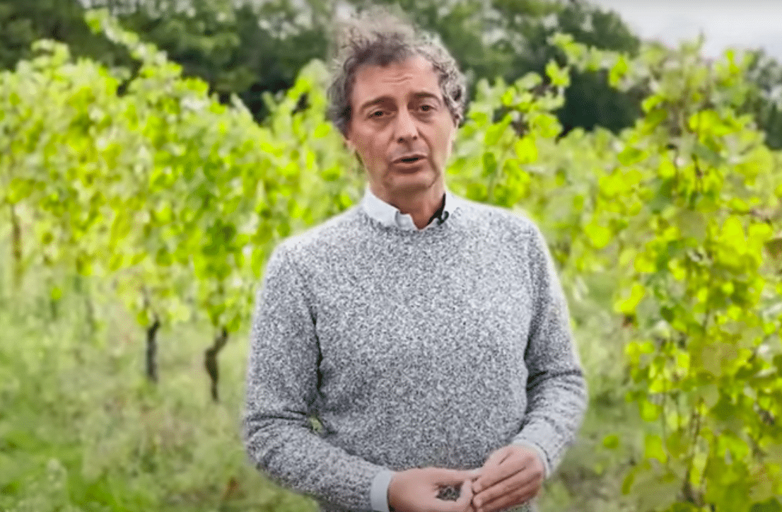 Agricolavinica